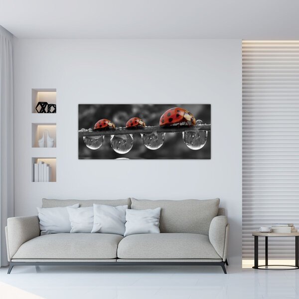 Kép - Napraforgó, fekete-fehér (120x50 cm)