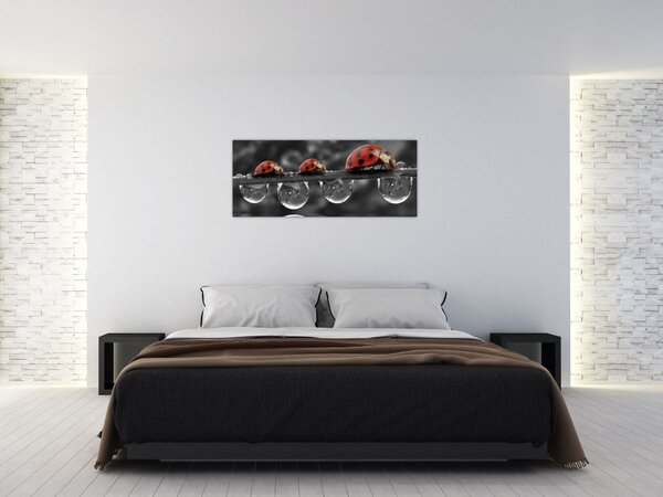 Kép - Napraforgó, fekete-fehér (120x50 cm)