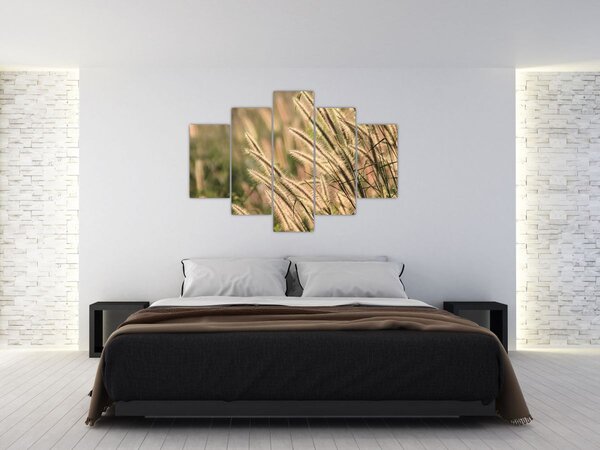 Kép - Gabona (150x105 cm)