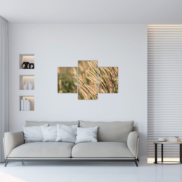 Kép - Gabona (90x60 cm)