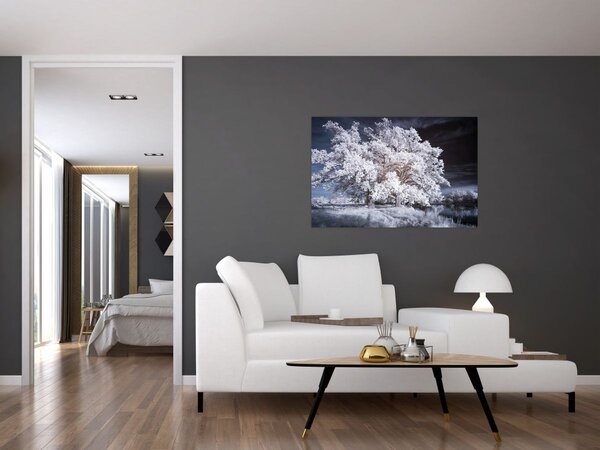 Kép - Hófehérke fa (90x60 cm)