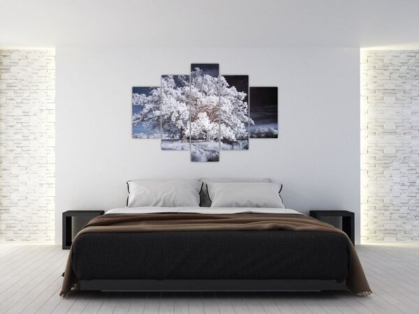 Kép - Hófehérke fa (150x105 cm)
