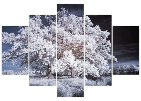 Kép - Hófehérke fa (150x105 cm)
