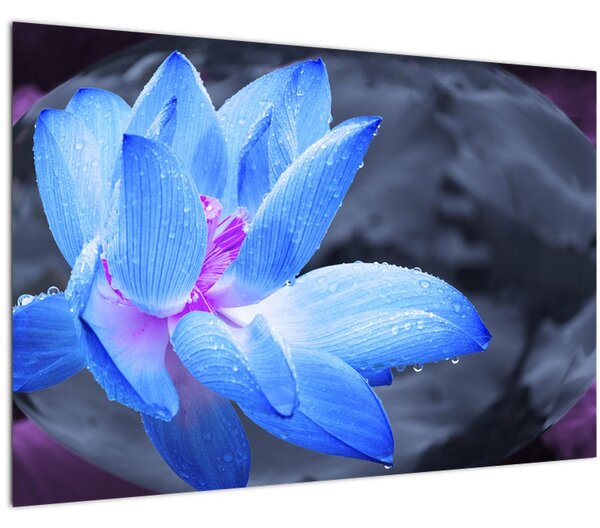 Egy virág képe részletesen (90x60 cm)