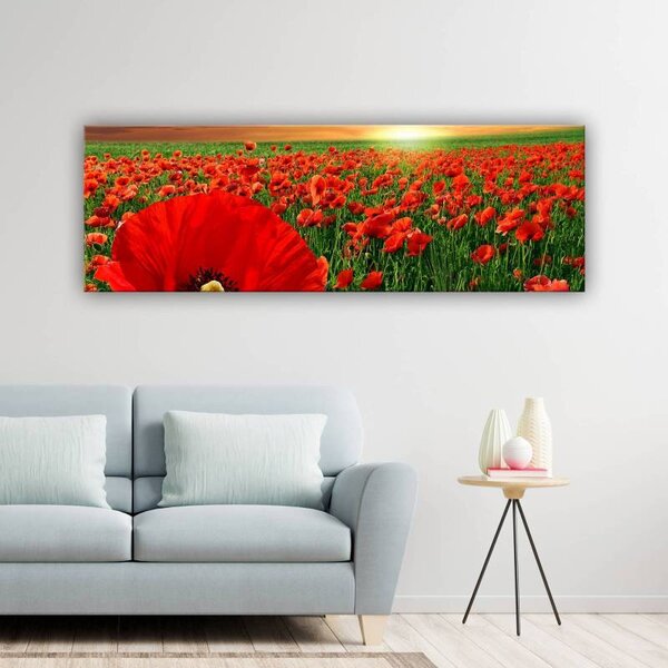 70x40 cm - Pipacsmező vászonkép