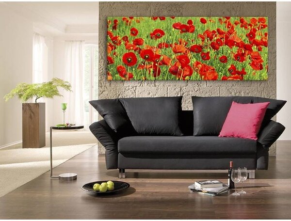 70x40 cm - Vörös és zöld pipacs mező vászonkép