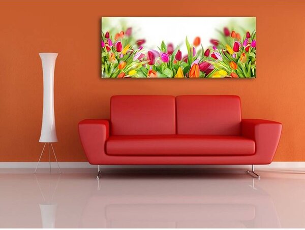70x40 cm - Színes tulipánok vászonkép