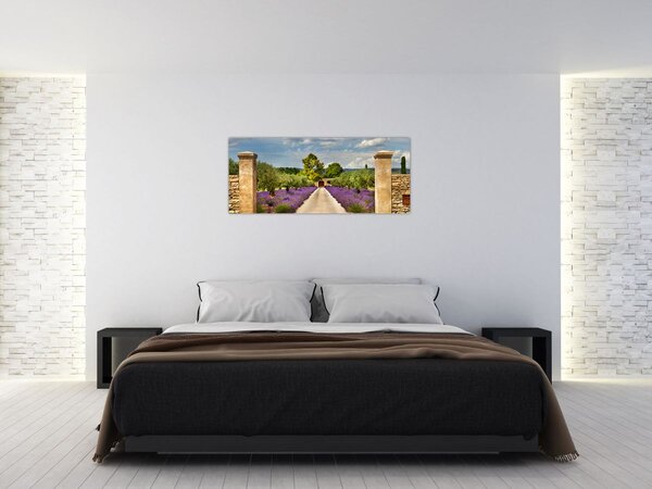 Kép - Levendula ösvények (120x50 cm)