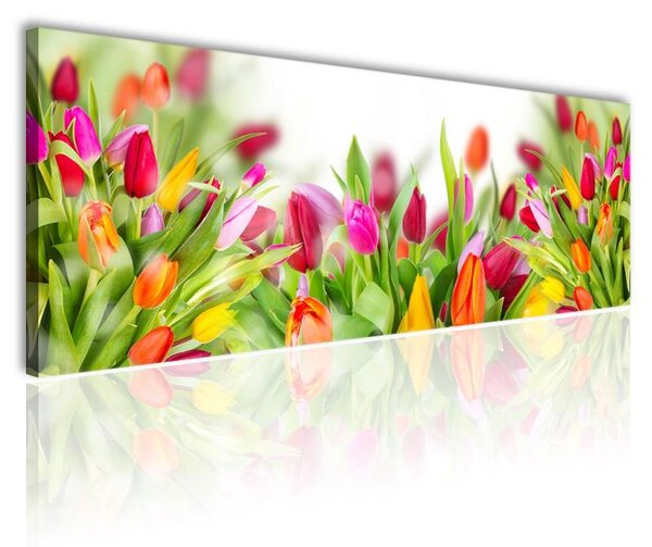 70x40 cm - Színes tulipánok vászonkép