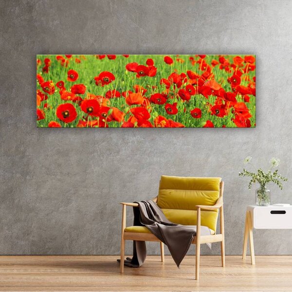 70x40 cm - Vörös és zöld pipacs mező vászonkép