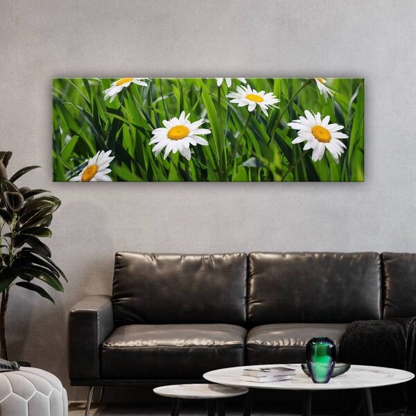 70x40 cm - Kamilla virág mező vászonkép