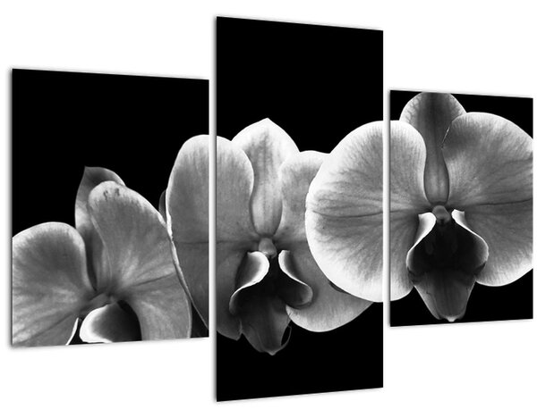 Egy orchidea virág képe (90x60 cm)