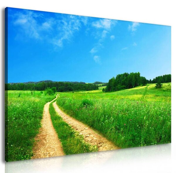 70x40 cm - Földút a réten vászonkép