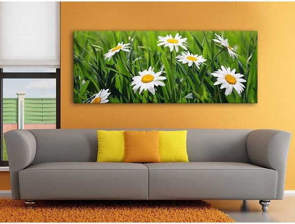 70x40 cm - Kamilla virág mező vászonkép