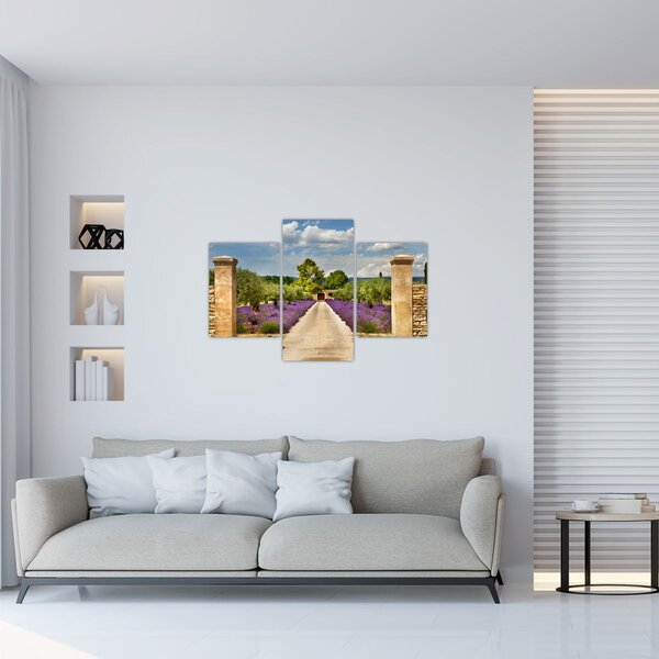 Kép - Levendula ösvények (90x60 cm)