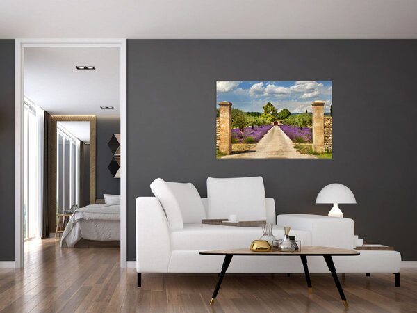 Kép - Levendula ösvények (90x60 cm)
