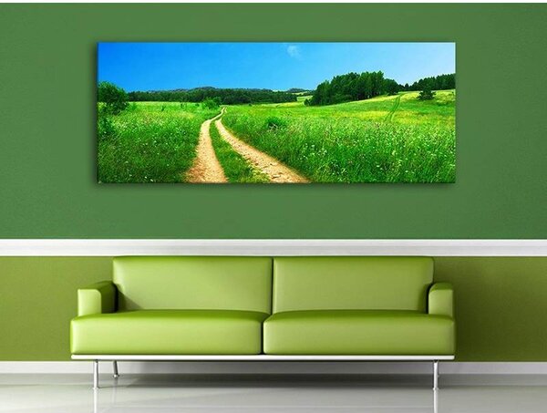 70x40 cm - Földút a réten vászonkép