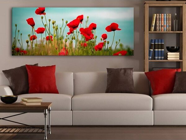 70x40 cm - Pipacs és felhők vászonkép