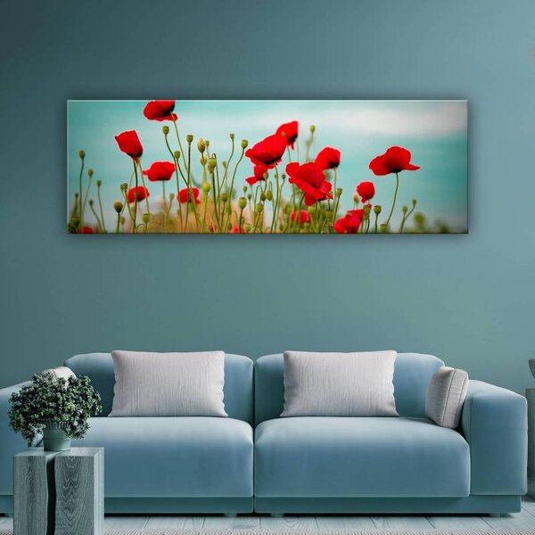 70x40 cm - Pipacs és felhők vászonkép