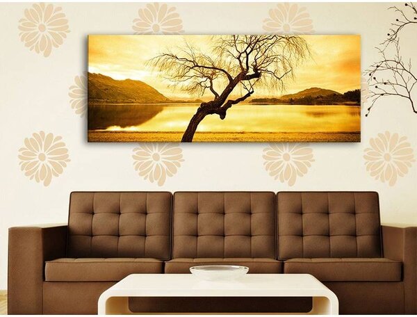 70x40 cm - Magányos fa vászonkép