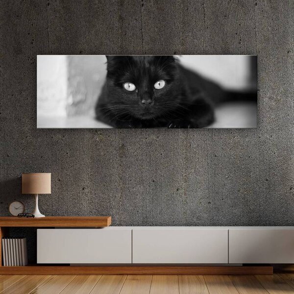 70x40 cm - Macska szemek fekete fehér vászonkép