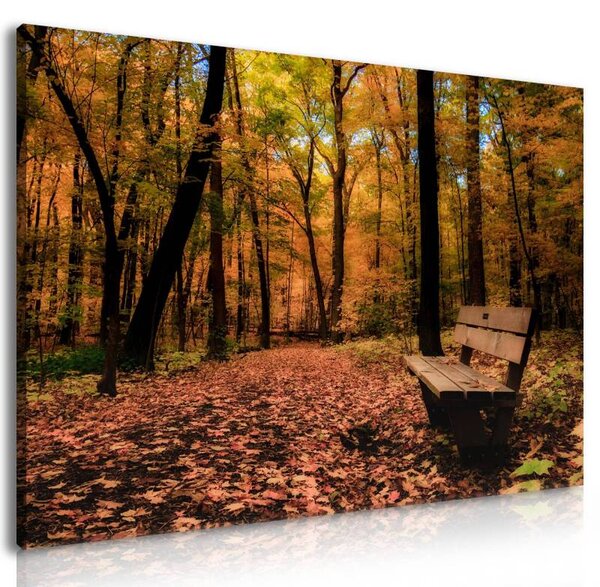 70x40 cm - Csendes ősz vászonkép