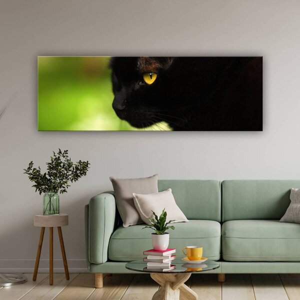 70x40 cm - Fekete macska vászonkép