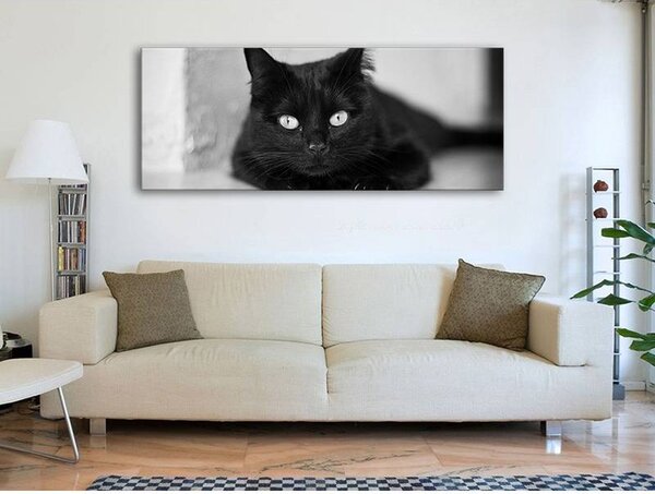 70x40 cm - Macska szemek fekete fehér vászonkép