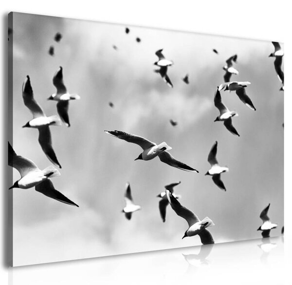 70x40 cm - Sirályok vászonkép