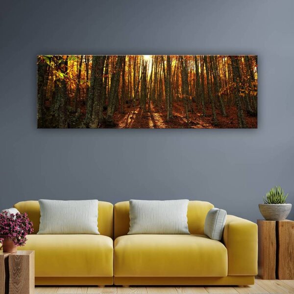 70x40 cm - Napnyugta az őszi erdőben vászonkép