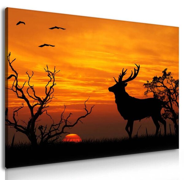 70x40 cm - Szarvas a naplementében vászonkép