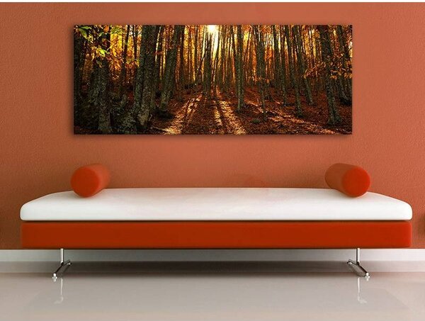 70x40 cm - Napnyugta az őszi erdőben vászonkép