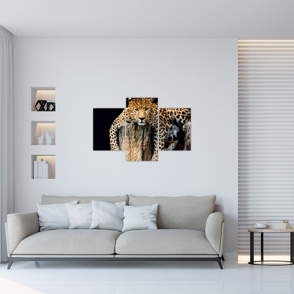 Kép - Gepárd (90x60 cm)