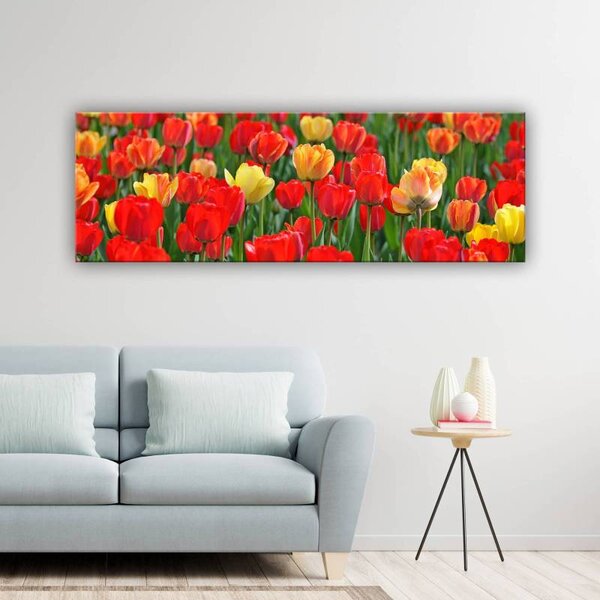 70x40 cm - Gyönyörű tulipánok vászonkép