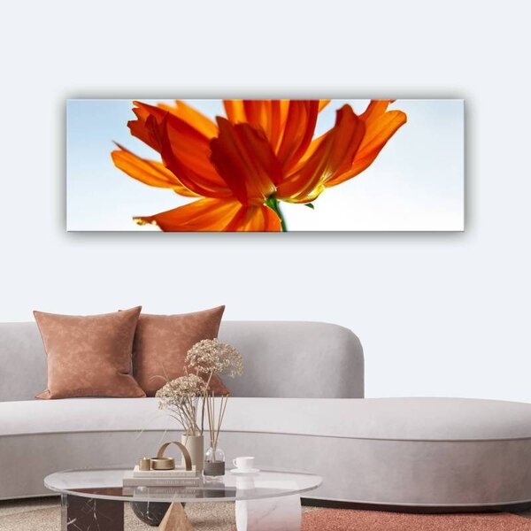 70x40 cm - Vörös szirmok a fényben vászonkép