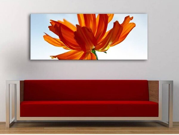 70x40 cm - Vörös szirmok a fényben vászonkép