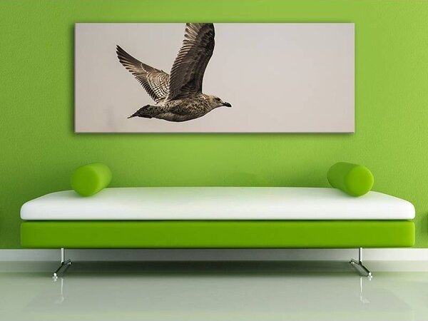 70x40 cm - Sirály az égen vászonkép