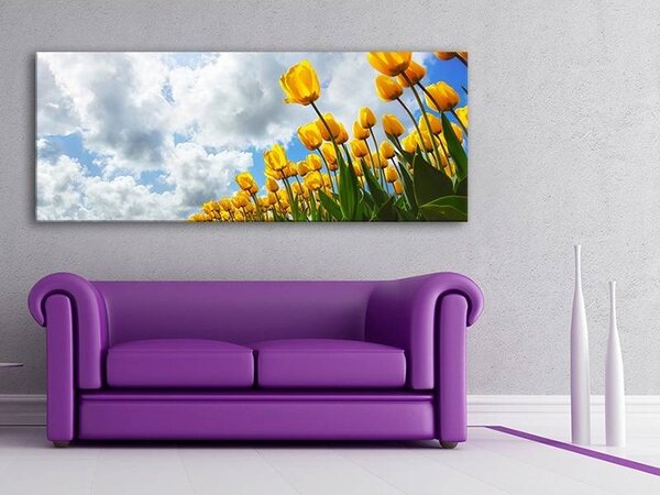 70x40 cm - Tulipánok vászonkép