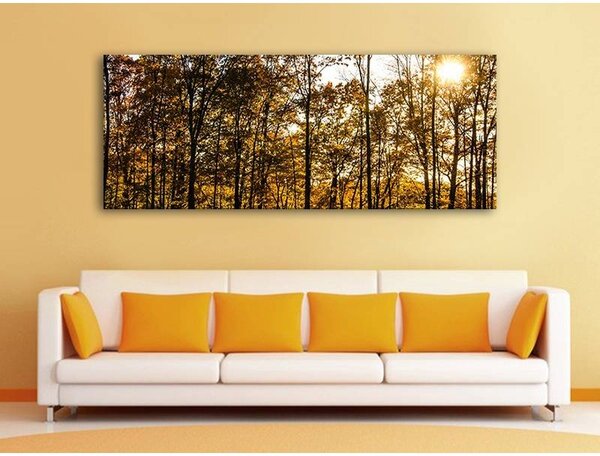 70x40 cm - Erdei fények vászonkép