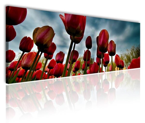 70x40 cm - Tulipánok vihar előtt vászonkép