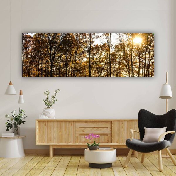 70x40 cm - Erdei fények vászonkép
