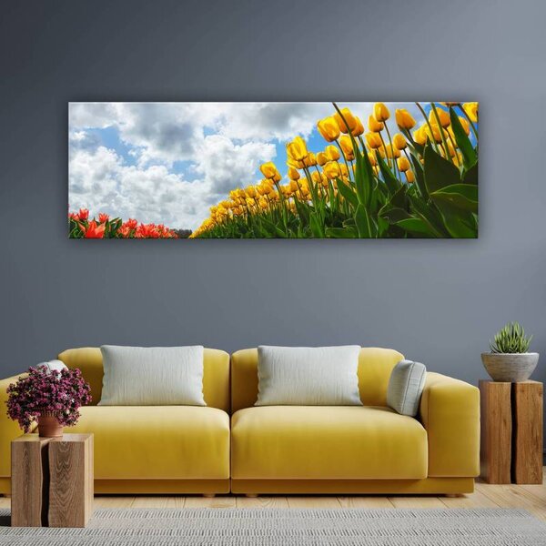 70x40 cm - Tulipánok vászonkép