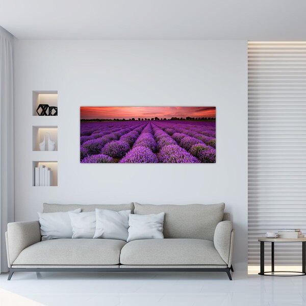 Kép - Levendula mező (120x50 cm)
