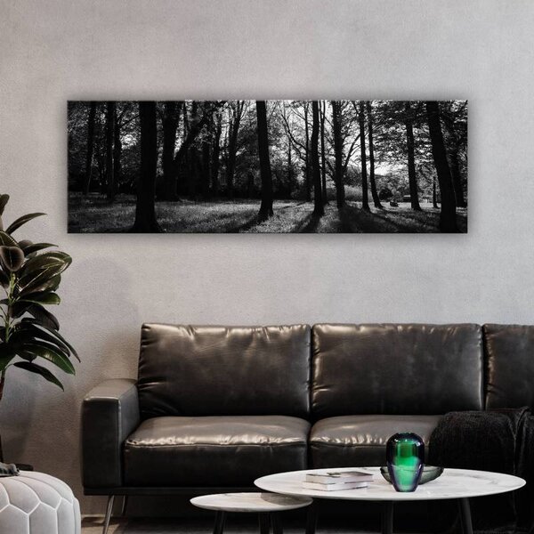 70x40 cm - Erdei fények fekete-fehér vászonkép