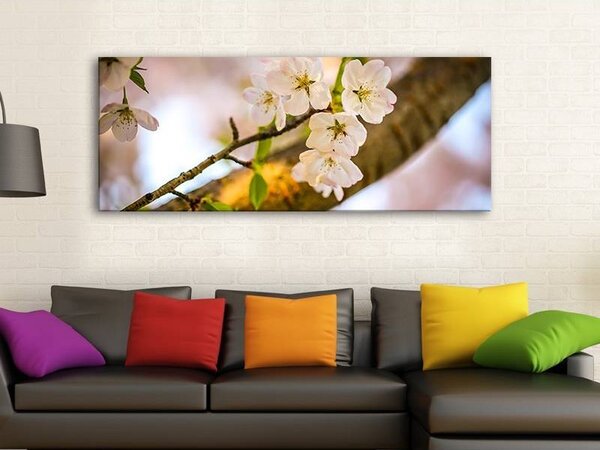 70x40 cm - Cseresznye virágzása vászonkép