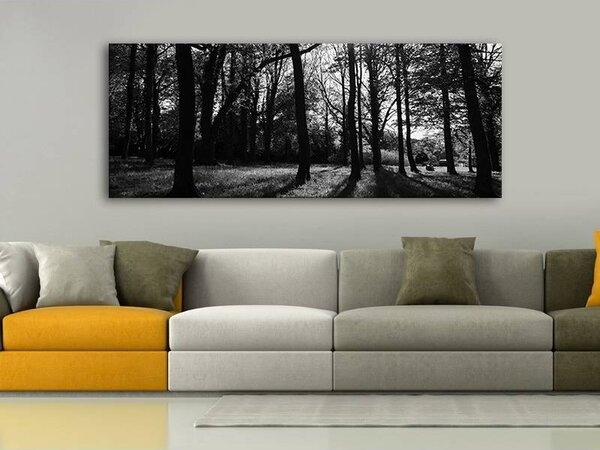 70x40 cm - Erdei fények fekete-fehér vászonkép