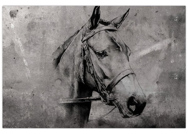 Kép - Egy ló portréja (90x60 cm)