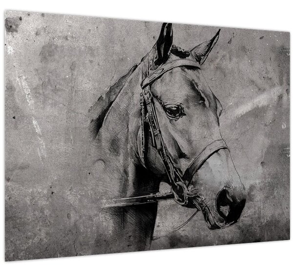 Kép - Egy ló portréja (70x50 cm)