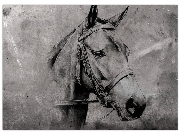 Kép - Egy ló portréja (70x50 cm)