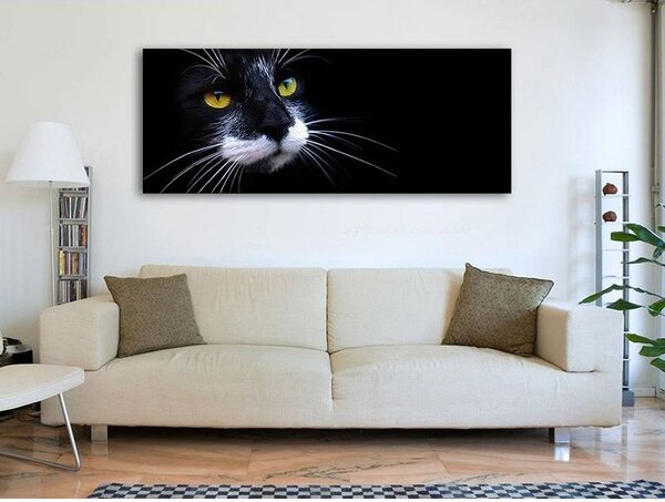 70x40 cm - Fekete macska vászonkép